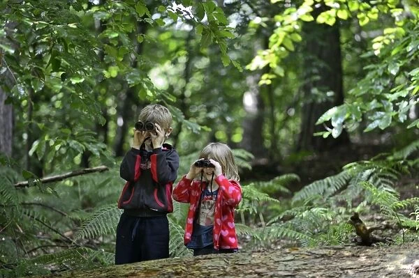 Young boy and girl )brother and sister) bird watching in woodland in summer Norfolk
