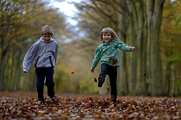 Young boy and girl kicking leaves in woodland Norfolk autumn