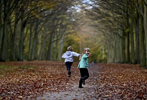 Young boy and girl playing in woodland in autumn Norfolk UK