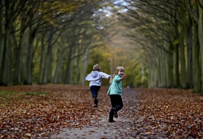 Framed Print : Young boy and girl playing in woodland in autumn Norfolk UK Framed Print : Young boy and girl playing in woodland in autumn Norfolk UK