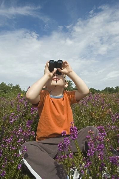 Young boy looking through binoculars on heath Norfolk summer