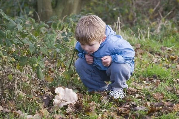 Young boy looking at fungi in autumn Norfolk