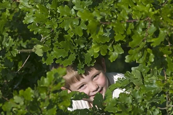 Young boy peeping through leaves Norfolk May
