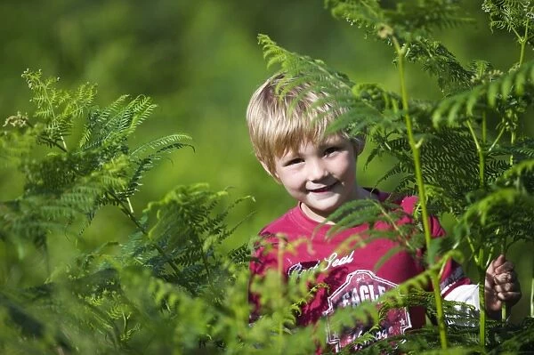 Young boy playing among bracken Norfolk summer