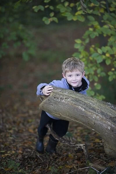 Young boy playing in woodland in autumn Norfolk November
