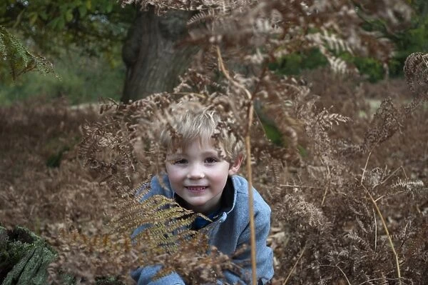 Young boy playing in woodland Kent autumn