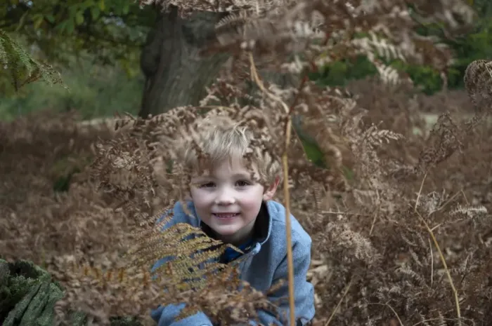 Framed Print : Young boy playing in woodland Kent autumn Framed Print : Young boy playing in woodland Kent autumn