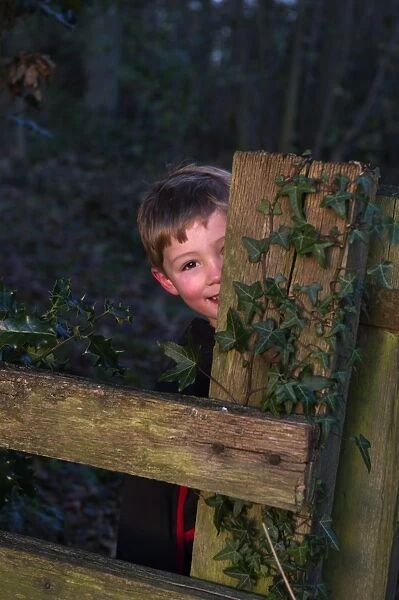 Young boy playing in woodland in winter Norfolk December