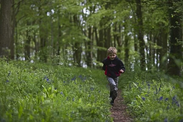Young boy running through Bluebell Wood Norfolk May