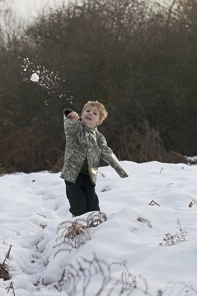 Young boy throws a snowball Kelling Norfolk December