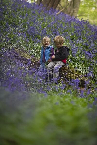 Young children in Bluebell wood Norfolk May