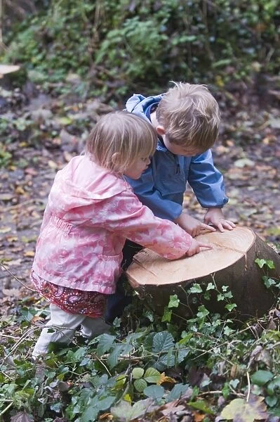 Young children counting growth rings on tree stump Norfolk winter