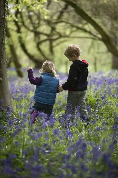 Young children playing in Bluebell Wood Norfolk May