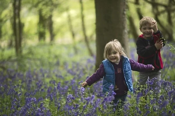 Young children playing in Bluebell Wood Norfolk May
