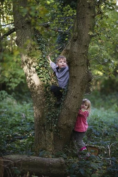 Young children playing in woodland in autumn Norfolk November