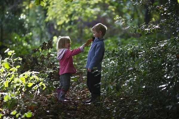 Young children playing in woodland in autumn Norfolk November