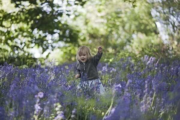 Young girl exploring in Bluebell Wood Norfolk May