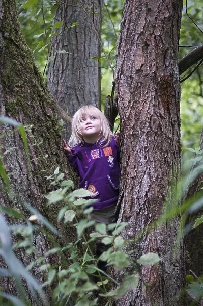 Young girl exploring in woodland Norfolk August