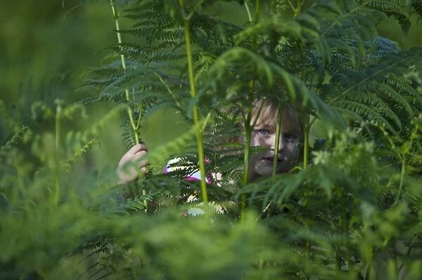 Young girl hiding among bracken Norfolk summer