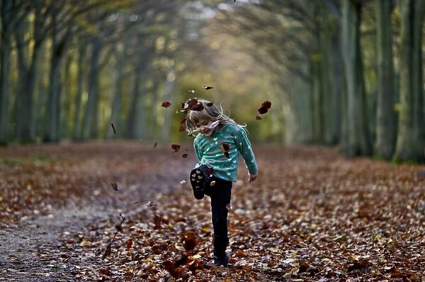 Young girl kicking fallen leaves in woodland Norfolk UK