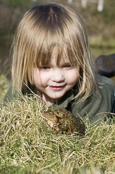 Young girl looking at Common Toads Bufo bufo Norfolk April