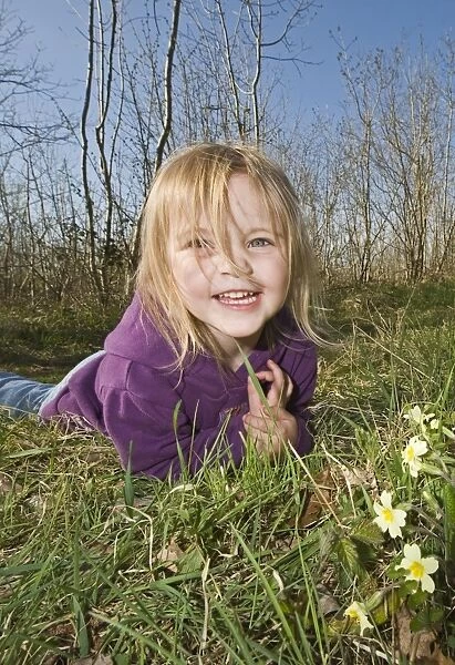 Young girl looking at primroses in woodland in spring Norfolk UK