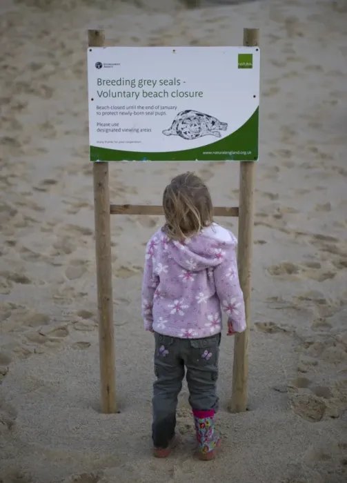 Framed Print : Young girl looking at seal information board at Winterton Dunes Norfolk December