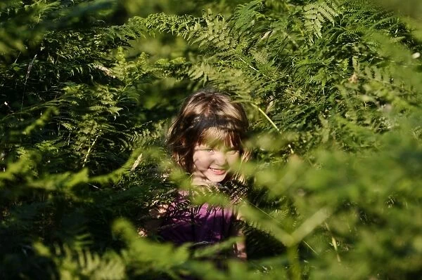 Young girl peeping from among bracken on heath in summer Norfolk