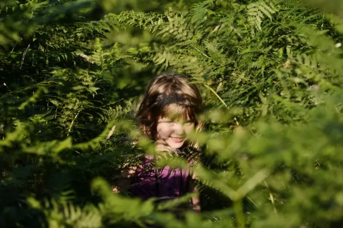 Framed Print : Young girl peeping from among bracken on heath in summer Norfolk