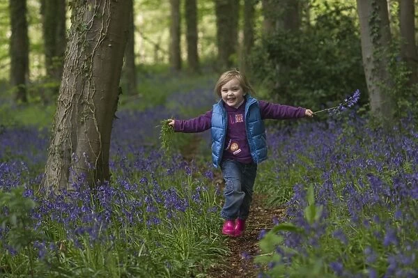 young girl playing in Bluebell wood Norfolk spring