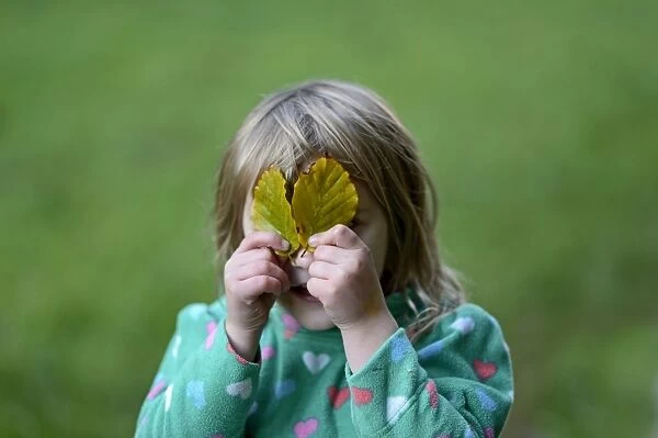 Young girl playing peek a boo with leaves in woodland Norfolk autumn