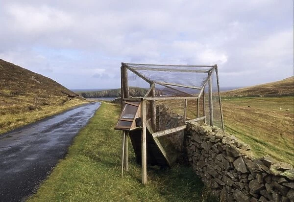Heligoland trap, used to trap birds for ringing, Fair Isle, Shetland Islands, Scotland