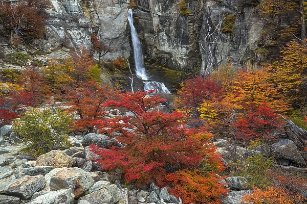 Argentina, Patagonia, El Chalten. Waterfall and autumn colors on southern beech trees