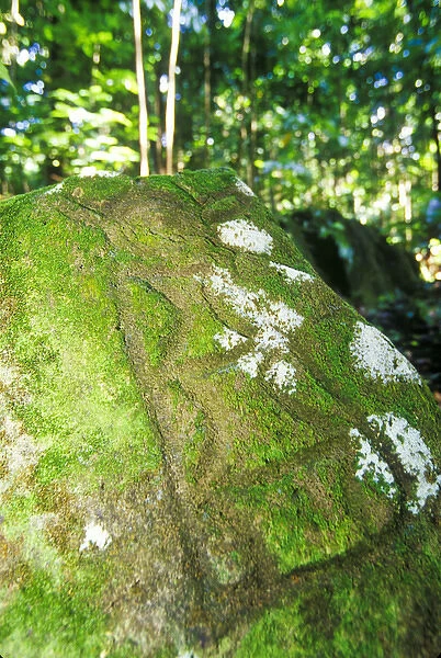 Indian petroglyphs at Stonefield Estate, St Lucia, Caribbean