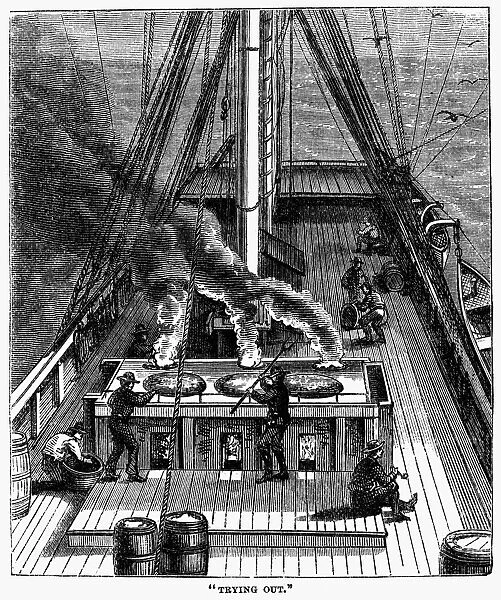 WHALING: TRYING OUT, 1874. Try-works or boilers set in brick on the deck, are used to reduce the whale blubber to oil in the process called trying out. Wood engraving, American, 1874