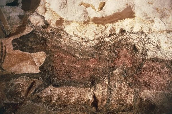 France, Lascaux, Vezere Valley, cave paintings