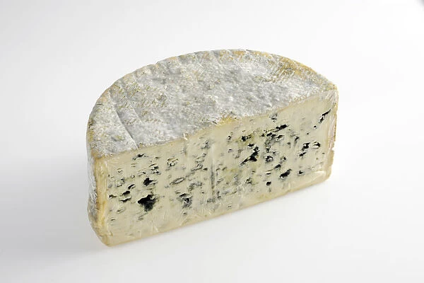 French Bleu d Auvergne cows milk cheese