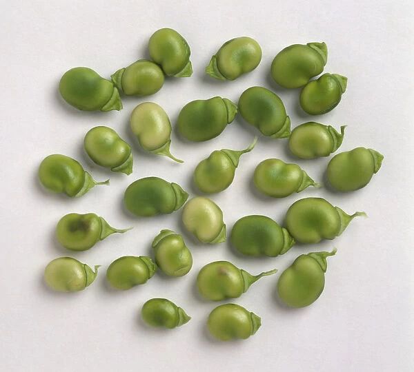 Shelled broad beans