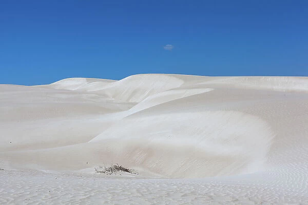 Dune beauty