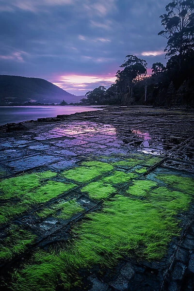 The Tessellated pavements at sunset