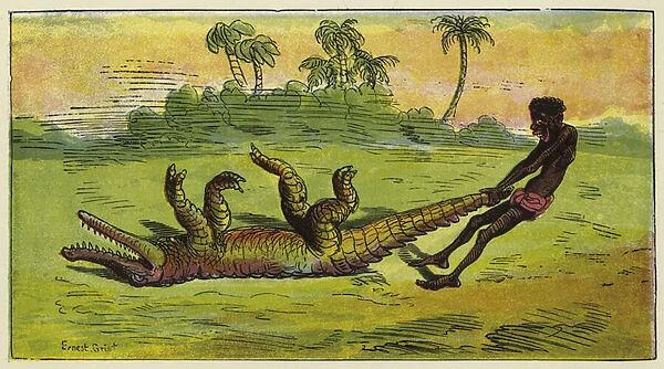 Ashanti man dragging a sleeping crocdile by the tail (colour litho)