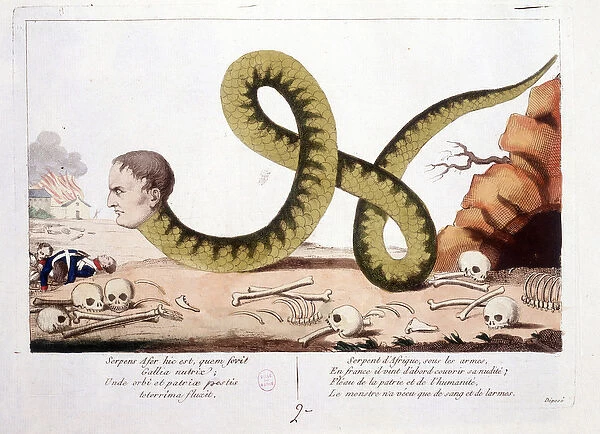Cartoon about Napoleon I represented as a snake. Snake of Africa under arms