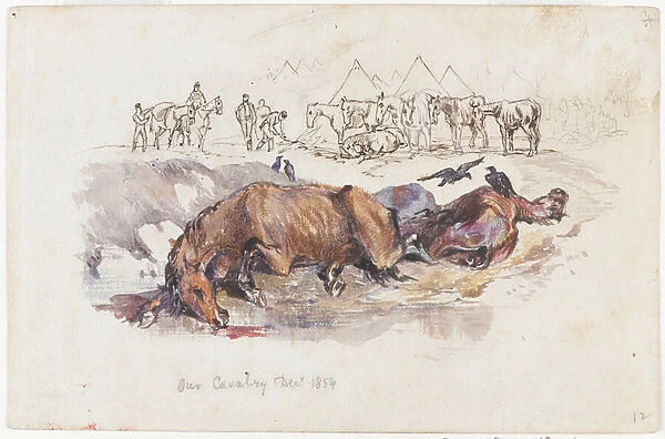 Our Cavalry, Dead Horses, 1854 (pen and ink with w / c)