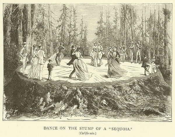 Dance on the Stump of a 'Sequoia'(engraving)
