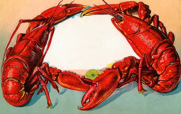 Decorative Border of Two Red Lobsters, 1912 (chromolithograph)