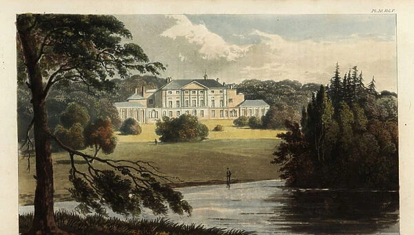 Enmore Castle, Somerset, the seat of the 3rd Earl of Egmont, 1825 (engraving)