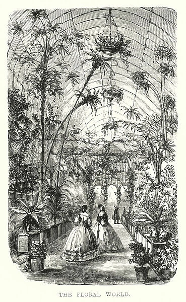 The Floral World (engraving)