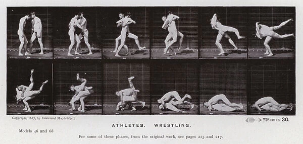 The Human Figure in Motion: Athletes, Wrestling (b  /  w photo)