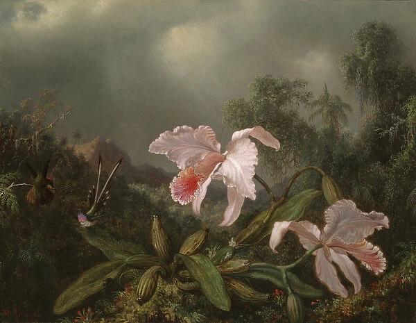 Jungle Orchids and Hummingbirds, 1872 (oil on canvas)