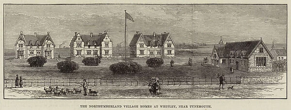 The Northumberland Village Homes at Whitley, near Tynemouth (engraving)